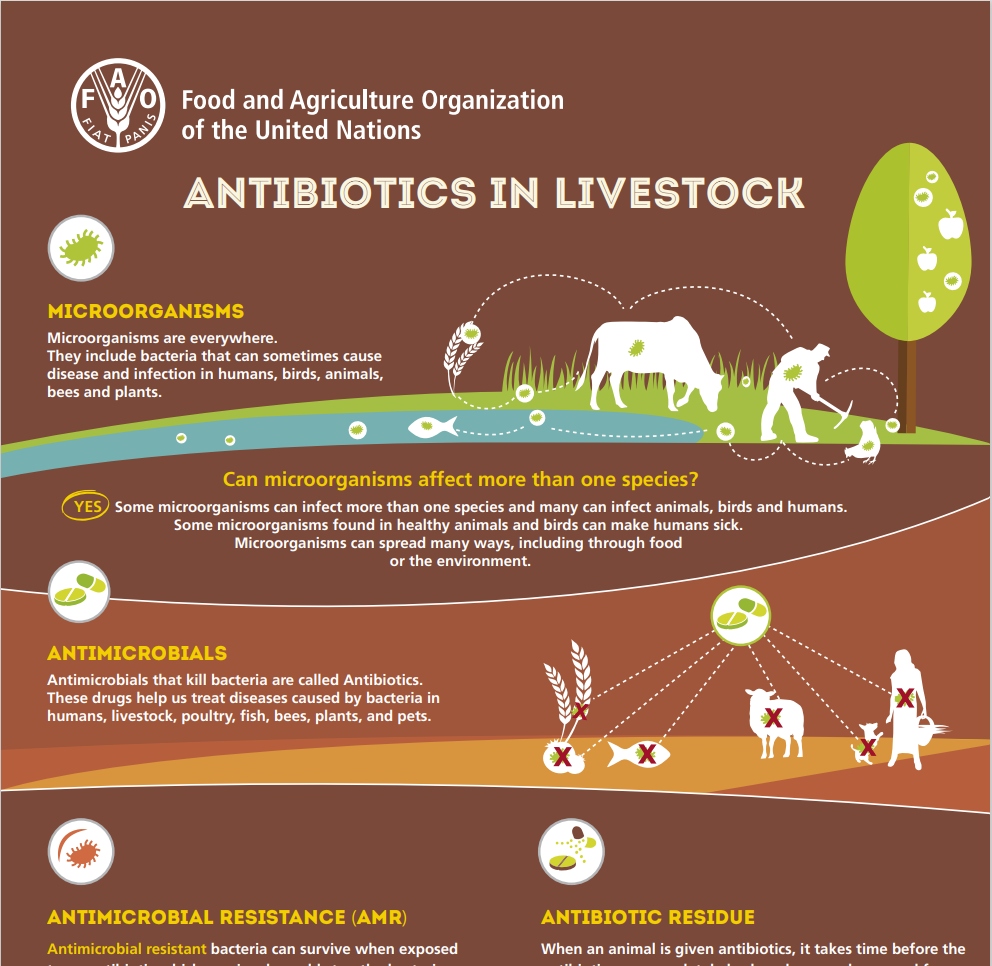 Antibiotics in Livestock